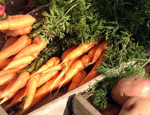 What’s Happening at the Sept. 22 Farmers’ Market