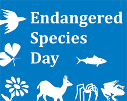 Celebrate Biodiversity on Endangered Species Day