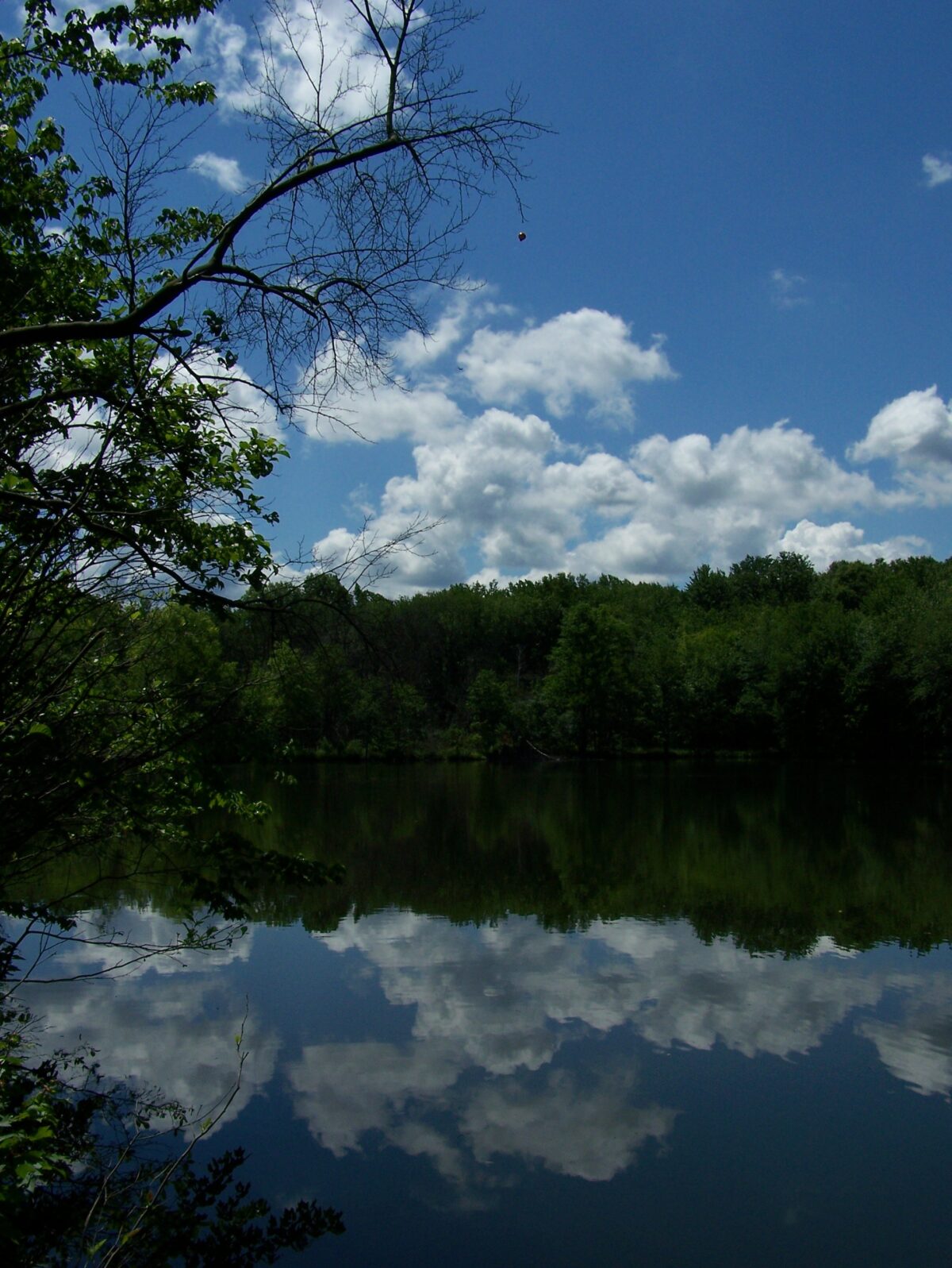 Crystal Springs Preserve’s Intriguing Past Hunterdon Land Trust