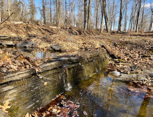55 Acres Added to Horseshoe Bend Park
