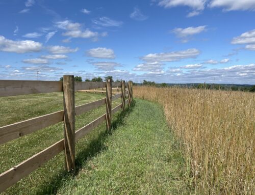 Farmland Preservation Successes Highlighted on National Map