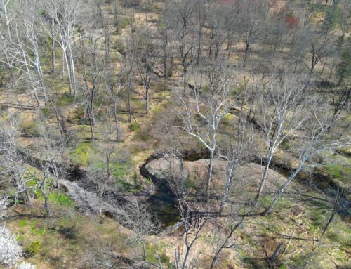 16 Acres Added to Preservation Corridor Along Walnut Brook in Raritan Township